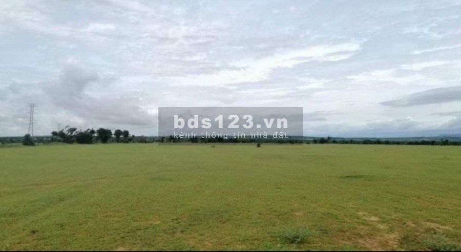 Bán lô đất CÂY LÂU NĂM mặt tiền đường đất cách biển chỉ 2km giá 5xx cực hiếm