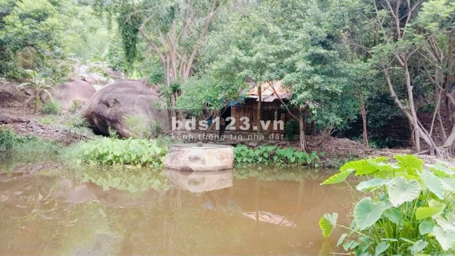 Bán đất triền đồi 5ha4 giá chỉ 1 tỷ xã Ninh Tân LH 0788.558.552