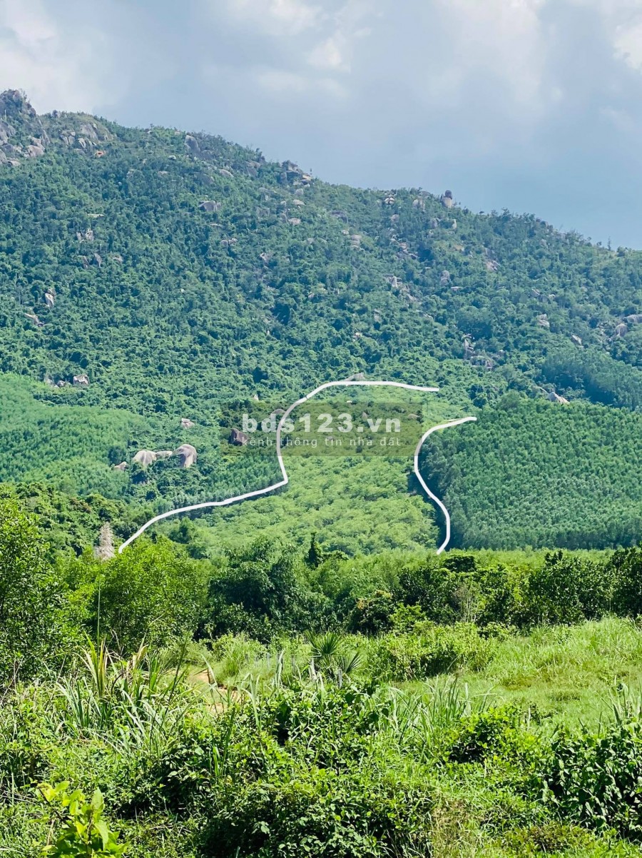 Bán đất triền đồi 5ha4 giá chỉ 1 tỷ xã Ninh Tân LH 0788.558.552
