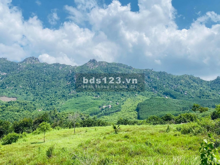 Bán đất triền đồi 5ha4 giá chỉ 1 tỷ xã Ninh Tân LH 0788.558.552