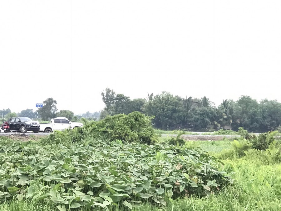 Bán đất Xã Đông Thạnh, Huyện Hóc Môn,TPHCM