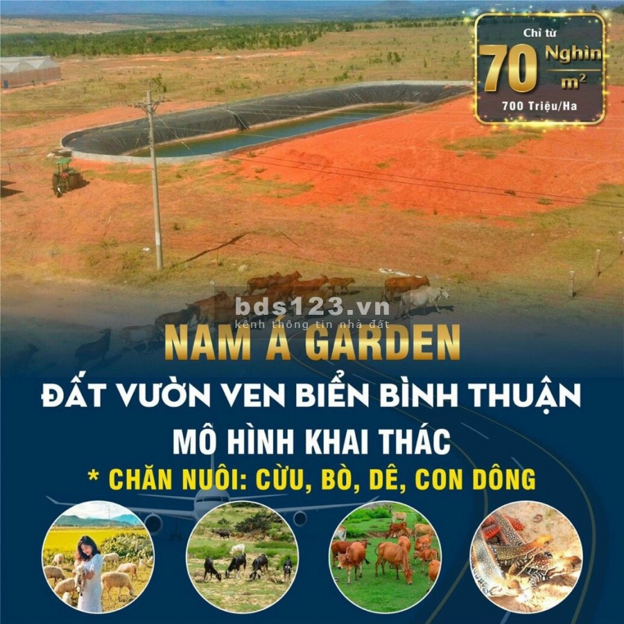 Đất nền BÌNH THUẬN giá chỉ từ 70 nghìn/m2, tiện đầu tư