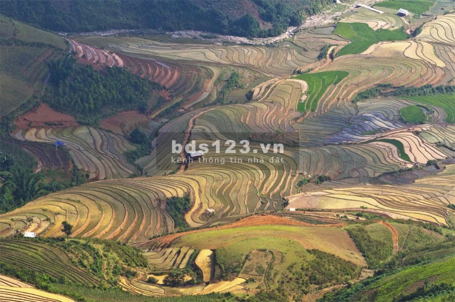 Mảnh đất vị thế cao, view đẹp thích hợp làm đầu tư, nghỉ dưỡng giá chưa đến 1 tỉ