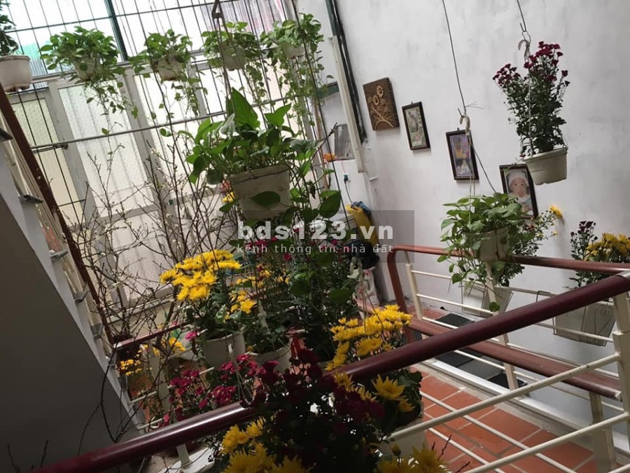 Bán gấp nhà Phố Quốc Tử Giám, 56m2x4T, MT4m, 5m ra ô tô, 4tỷ3.