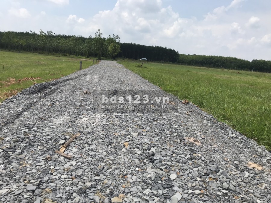Đất vườn Củ Chi giá rẻ 850m2 giá 1ty018 SHR công chứng sang tên ngay