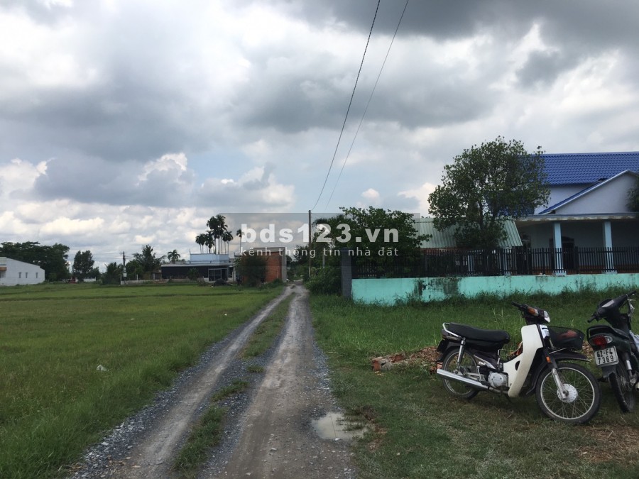 Chủ bán gấp lô đất 250m2 Ấp Bình Lợi Hòa Khánh Đông Giá 800 tr SHR