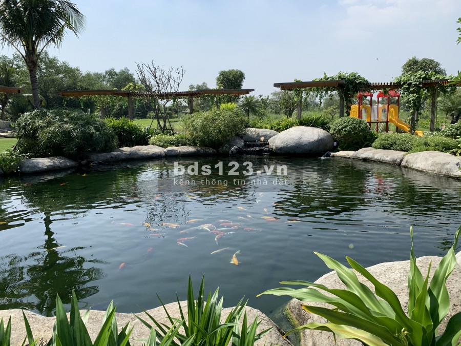 Bán 5 lô đất xây biệt thự vườn long hải - ngọc sáng của thị trường biển dt 150 - 5000m2 LH 0903 066 813 chuyên bds long hải