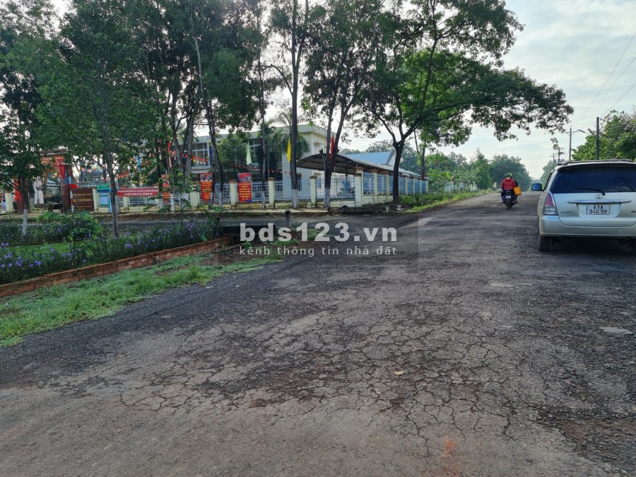 Đất sào Tân Hưng, Đồng Phú giá rẻ