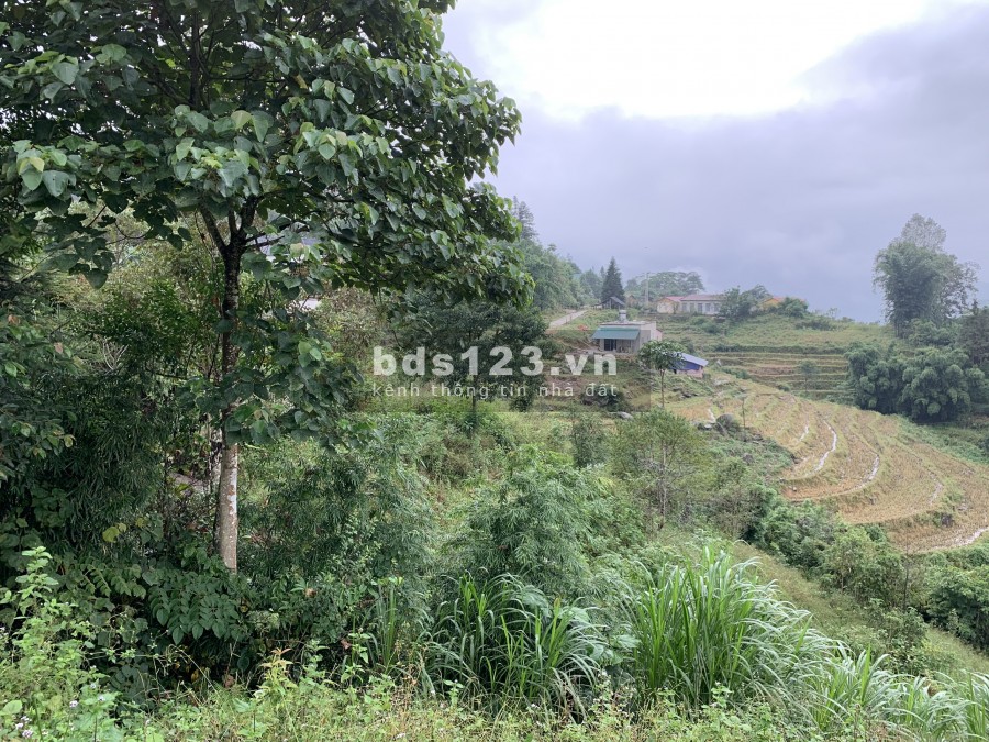 Hơn 700 triệu, sở hữu ngày 1200 m2 đất thuộc quy hoạch đất ở sau tái định cư tại sapa 2