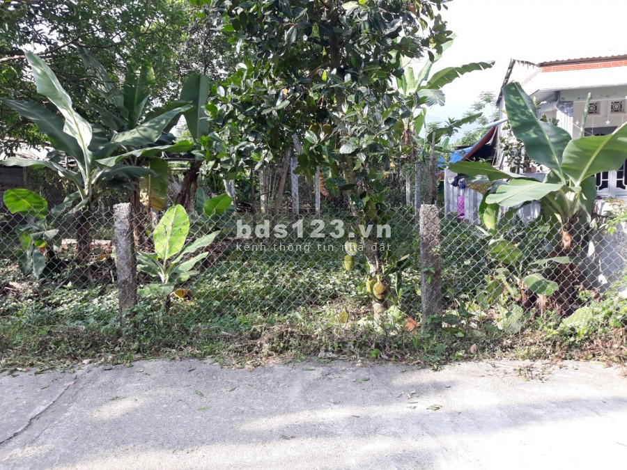 Bán gấp lô đất Hòa Vang 770tr sắp mở đường