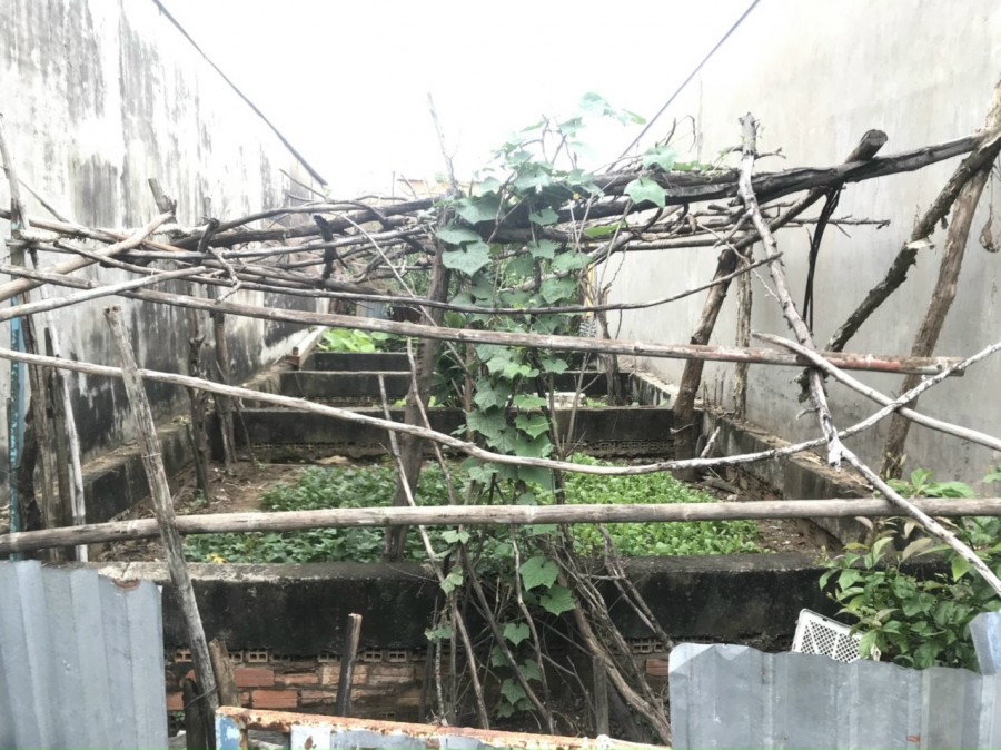 Bán nhanh lô đất hxh ngay Đào Tông Nguyên, Kho C Nhà Bè, giá tốt cho đầu tư hoặc định cư lâu dài.