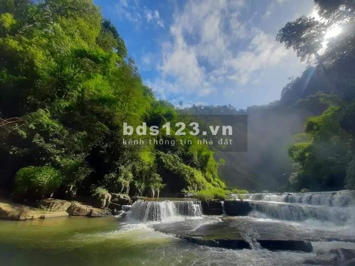 Kẹt tiền bán gấp đất thổ cư nghỉ dưỡng chính chủ trong tuần Đambri Bảo Lộc Lâm Đồng