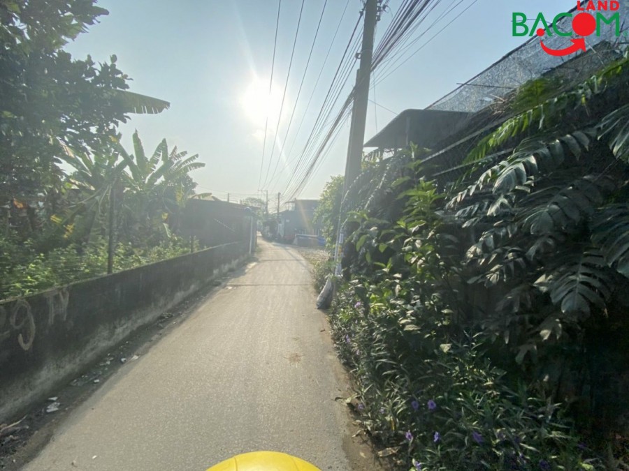 Cần bán lô đất phường Tân hạnh, sổ riêng, giá rẻ cho nhà đầu tư