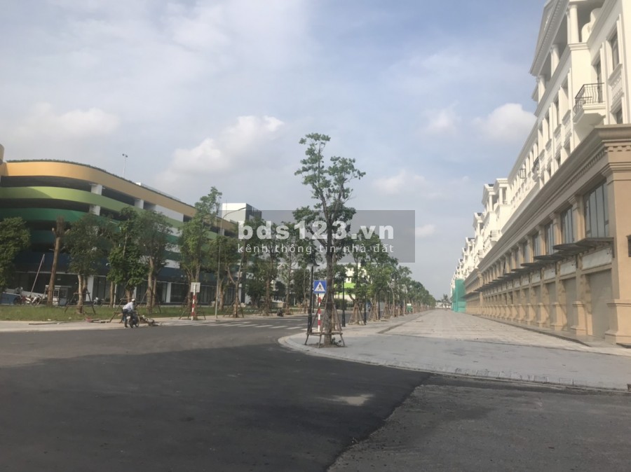 Quỹ căn TMDV Vinhomes Ocean Park tiềm năng kinh doanh tốt