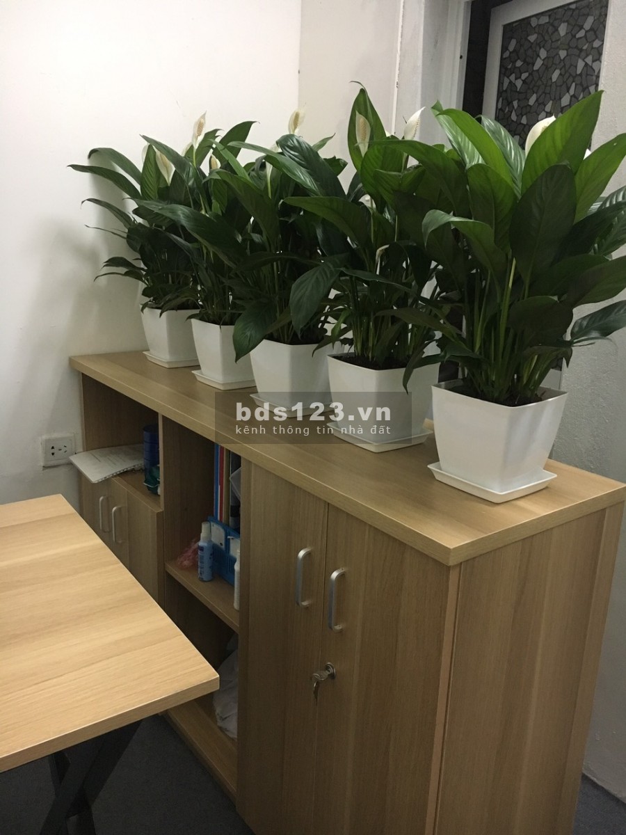Cho thuê văn phòng sẵn nội thất tại số 40 ngõ 10 Nguyễn Thị Định