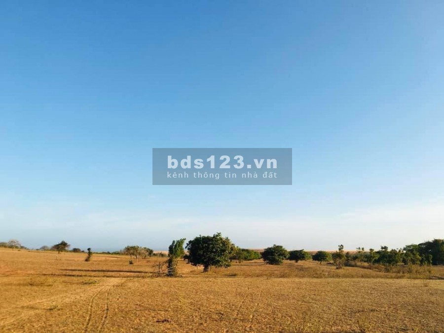 Bán lô đất CÂY LÂU NĂM mặt tiền đường đất cách biển chỉ 2km giá 5xx cực hiếm
