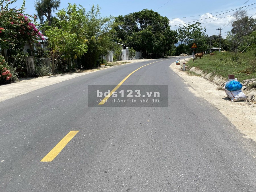 Đất Cam Lâm mặt đường Tân Sinh qh 30m