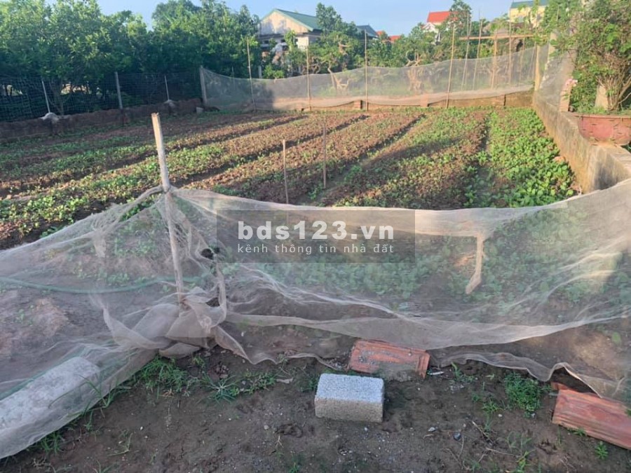Gia đình cần bán nhanh lô đất rộng. 210m2, đất sổ đổ, mt 12m