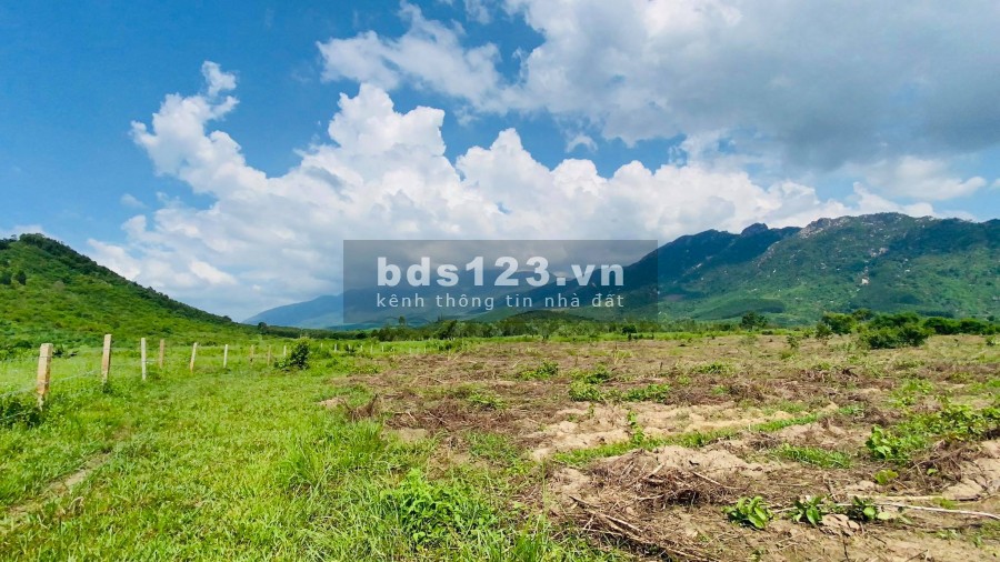 Bán đất làm trang trại gần đường nhựa xã Ninh Tân giá rẻ LH 0788.558.552