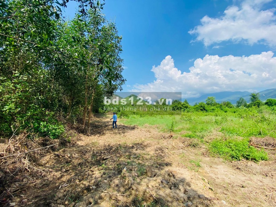 Bán đất làm trang trại gần đường nhựa xã Ninh Tân giá rẻ LH 0788.558.552