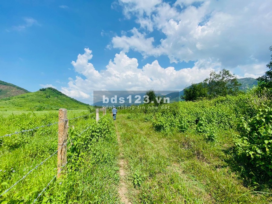 Bán đất làm trang trại gần đường nhựa xã Ninh Tân giá rẻ LH 0788.558.552