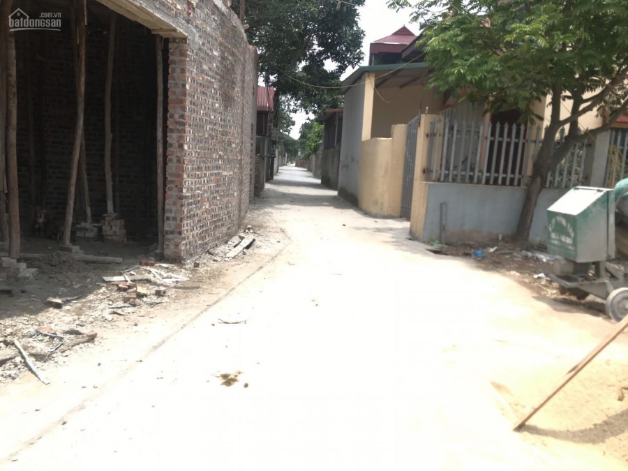 Chỉ Có Tại Bìa Làng Đông Lai Quang Tiến Sóc Sơn Hà Nội