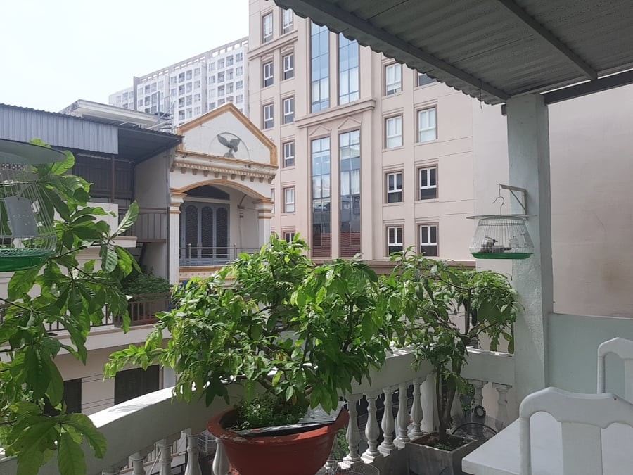 Mở hủ tiếu sủi cảo Bán nhà 395/2B Minh Phụng, Phường 6, Quận 6, 44 M2, 4PN, 4WC, 3 Tầng, giá 4 tỷ 8