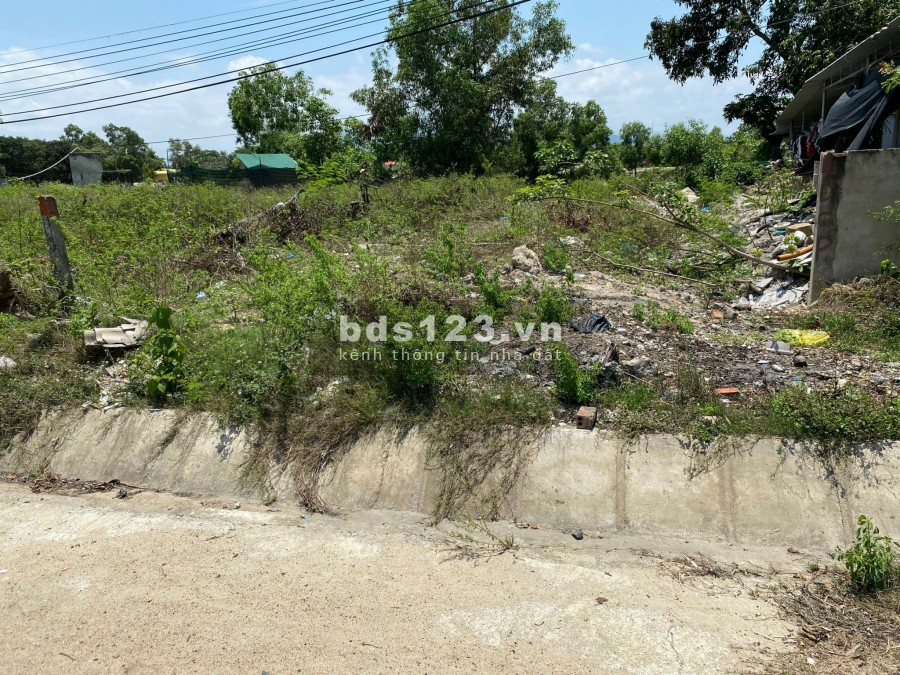 Đất Cam Lâm mặt đường Tân Sinh qh 30m