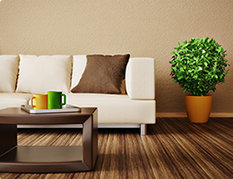 Bán nhà mặt tiền Tân Phú , giá chốt bất ngờ