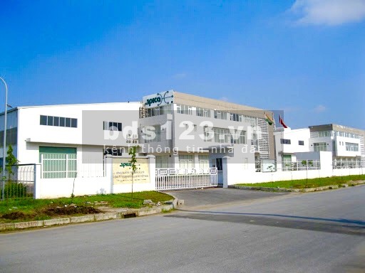 Gấp 5380m2 (63x86m) mặt tiền đường lớn, khu dân cư sầm uất, gần kcn giá 560 triệu