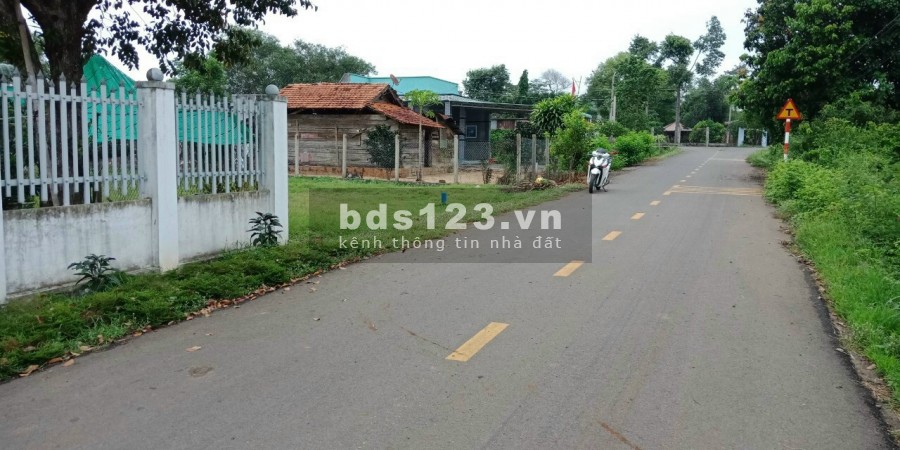 Bán đất mặt tiền đường nhựa . Huyện đất đỏ, đất đỏ brvt