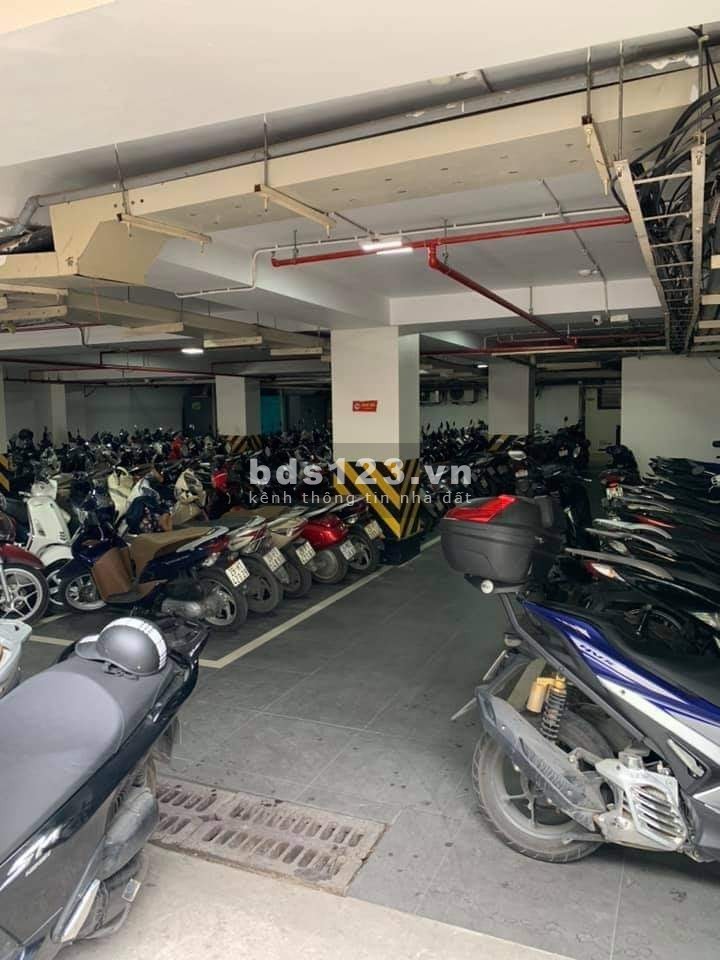 BULLDING Phố Xuân Thủy, 500m2 MTx16.5m Dịch Vọng Hậu C.Giấy