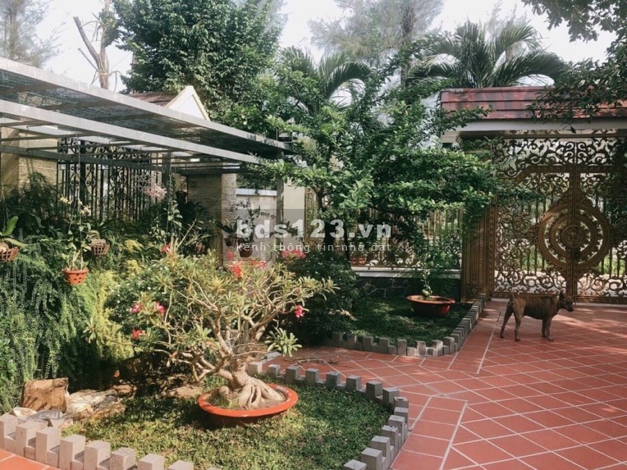 Mặt đường Trần Hưng Đạo, khu nhà vườn, gần 9000m, ngang 68m, Phường 5, Thành phố Cà Mau, giá chỉ 65 tỷ.