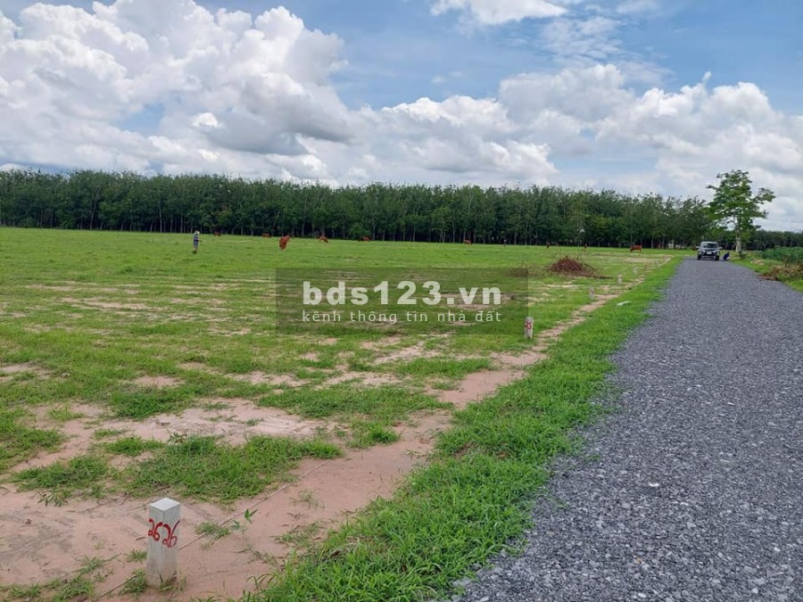 Bán nhanh 1000m2 đất chỉ 280triệu gần trung tâm thành phố Tây Ninh