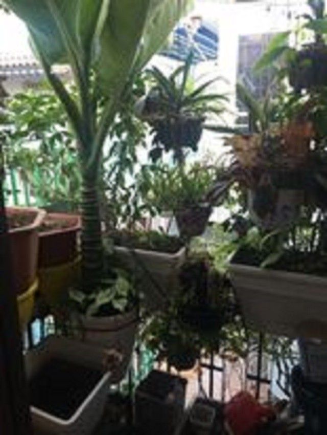 Bán nhà giá rẻ Quang Trung P10 Gò Vấp 35m2 BTCT 2 tầng chỉ 2,8 tỷ.