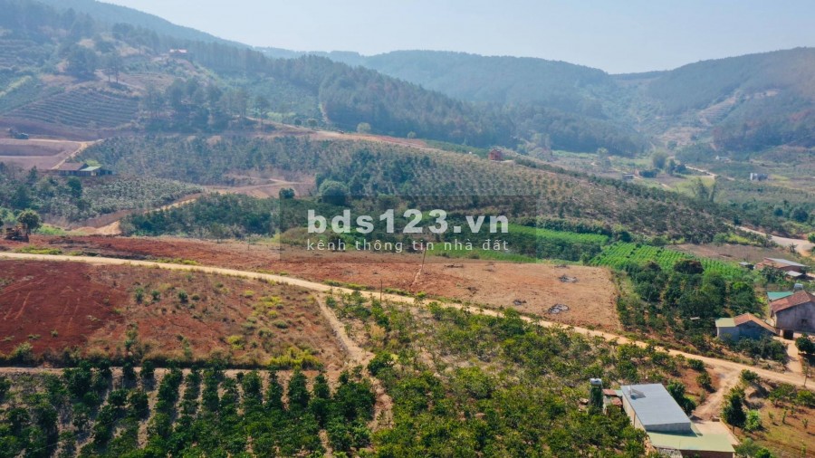 LÔ ĐẤT 560m2, cách chợ Tân Hà, Lâm Hà 2km, chỉ 600 triệu