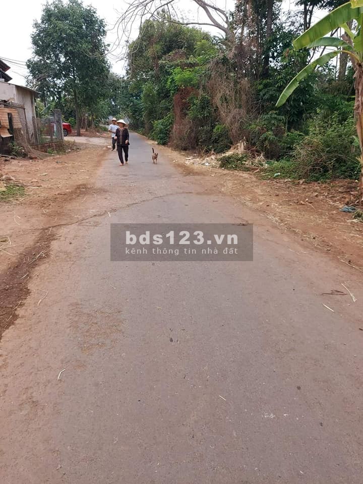 Đất xào thổ cư nghỉ dưỡng Buôn Ma Thuột giá rẻ