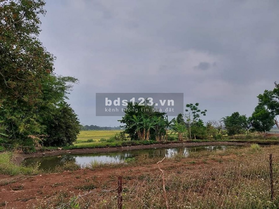 Đất xào thổ cư nghỉ dưỡng Buôn Ma Thuột giá rẻ