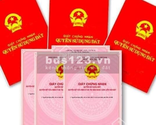 Tiền Hải Center City Siêu Phẩm Cho Các Nhà Đầu Tư 1 Vốn 4 Lời giá bán 23 triệu/m2