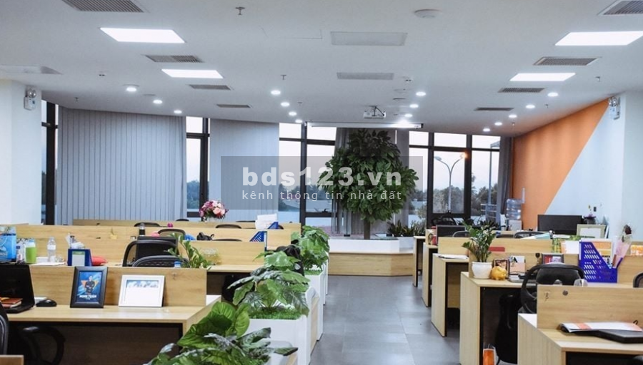 Ưu đãi mùa COVID - Thuê ngay văn phòng Đà Nẵng giá siêu rẻ