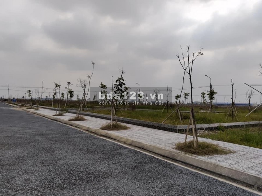 Cơ hội đầu tư đất nền có 1-0-2 sinh lời cực tốt, cạnh khu công nghiệp Tiền Hải Thái Bình