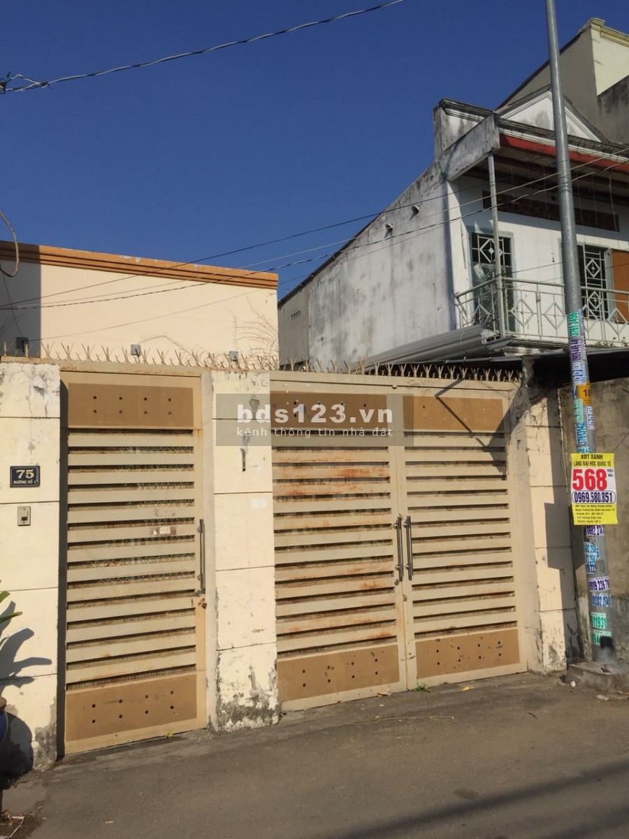 Bán dãy nhà trọ đường số 6 Lý Phục Man, Quận 7, dt 5.5x25m, giá 13 tỷ