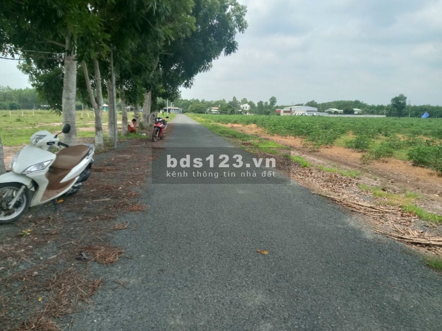 Cần tiền ra đi gấp lô đất 500m2 có thương lượng