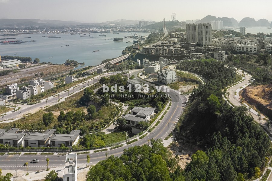 Bán Đất Liền Kề + Đất Biệt Thự ( Dự Án Ban Mai Villas Bãi Cháy - Hạ Long)