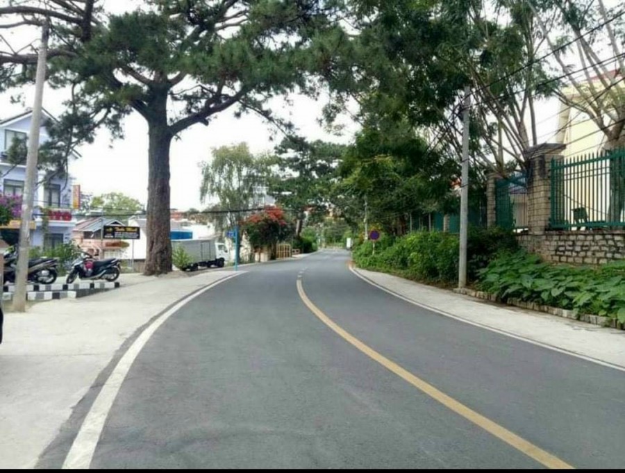 Nhà nguyên căn mặt tiền Phạm Ngọc Thạch phường 6 Đà Lạt