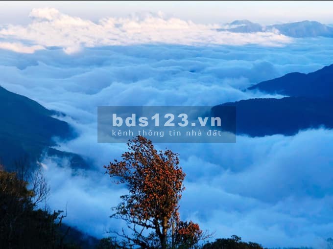 Bán đất khu đấu giá Y Tý, Bát Xát lào cai .