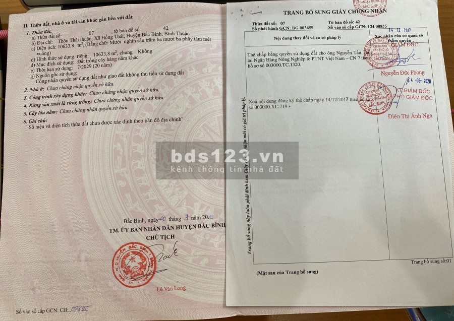 Bán nhanh sổ đổ hơn 1 ha xã Hồng Thái, cách Quốc Lộ 1A 900m, giá chỉ 110 nghìn/m2