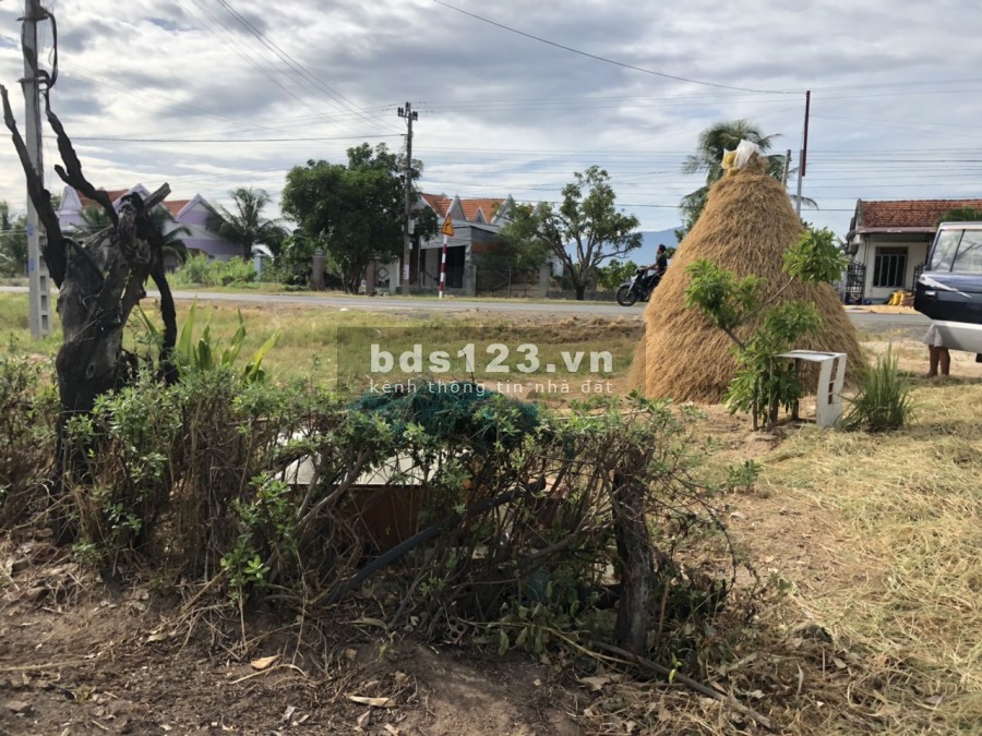 Bán đất có thổ cư mặt tiền QL26 xã Ninh Tây, Ninh Hòa giá rẻ LH 0788.558.552
