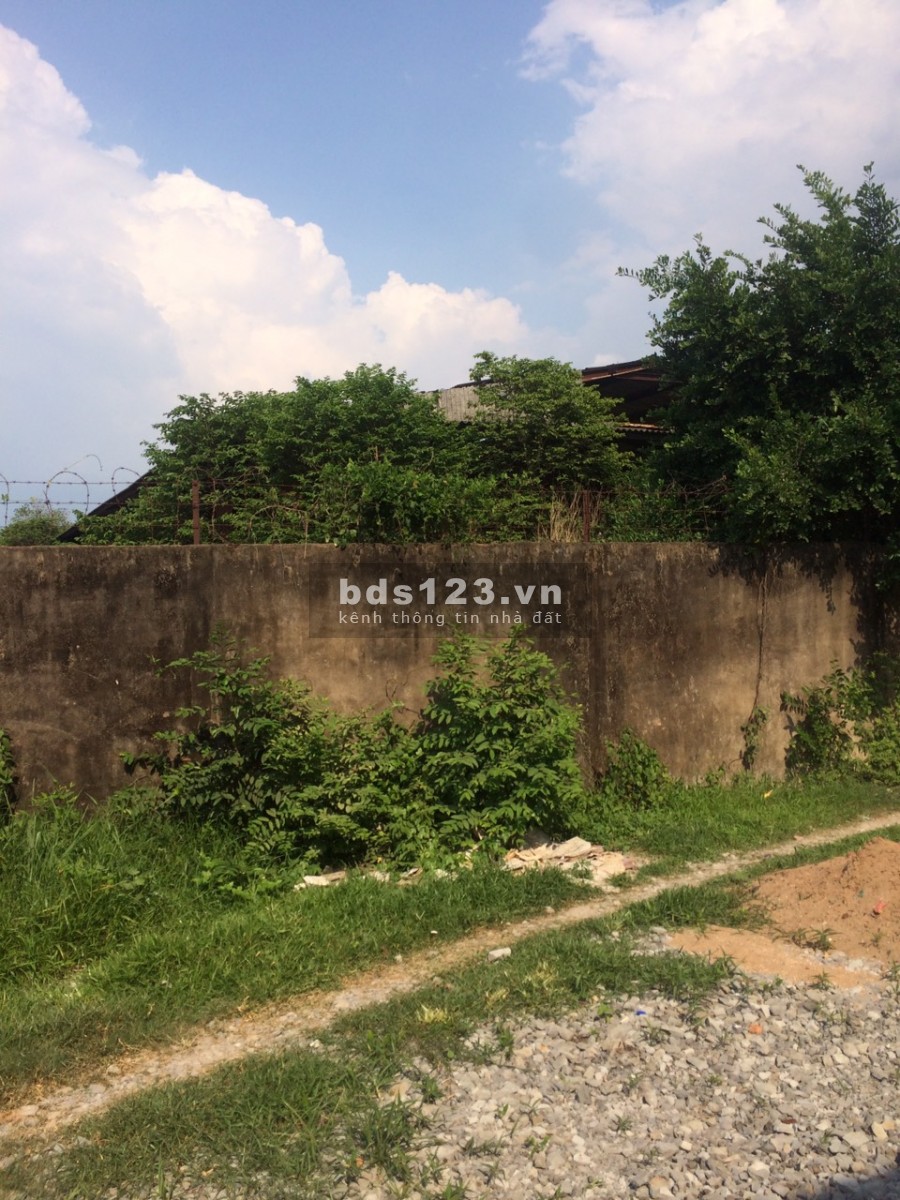 Bán đất 2MT đường DT746 Tân Uyên, Binh Dương