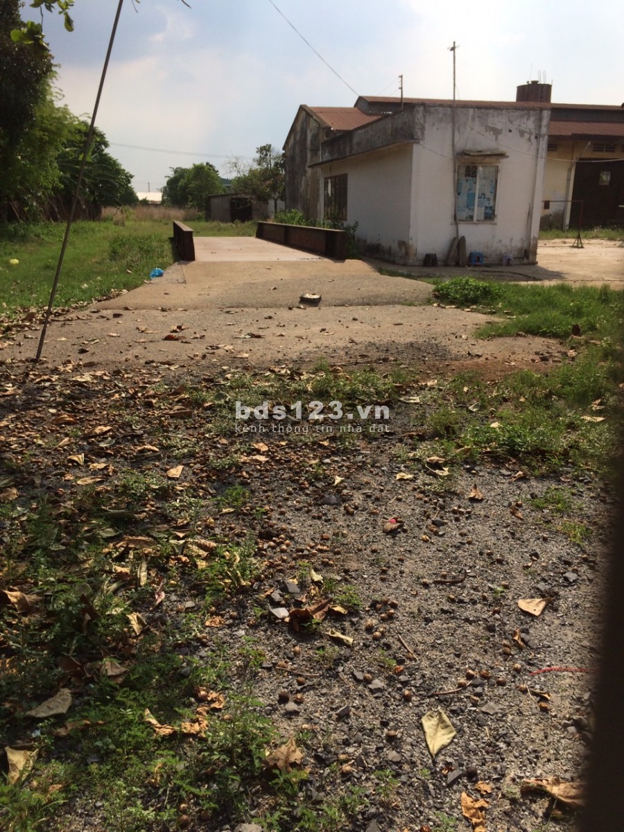 Bán đất 2MT đường DT746 Tân Uyên, Binh Dương